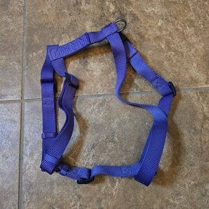 Purple | PETZSEE | PSM Dog Harness